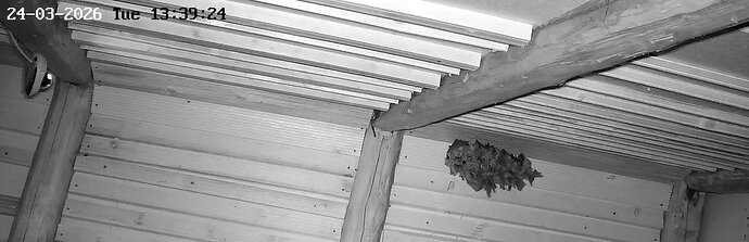 2026-03-24_1 Momentaufnahme WG 13.39