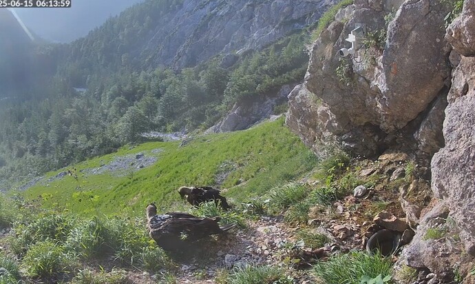 Screenshot_20250615_061419_Firefox