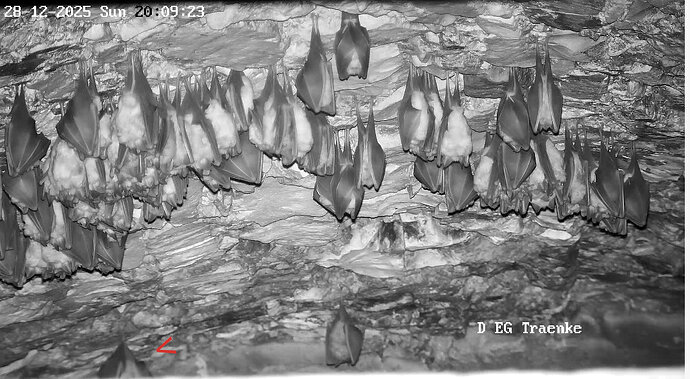 2025-12-28 ab 20.00_1