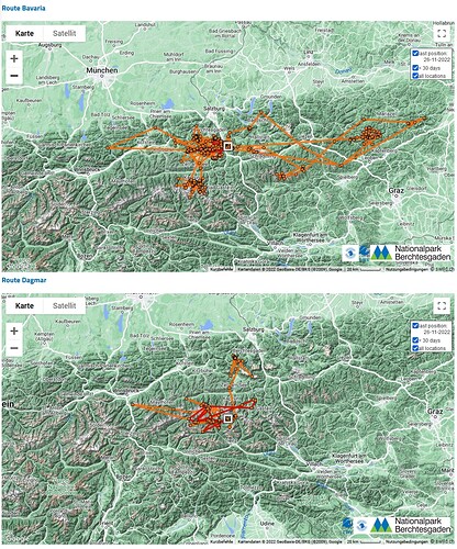 Screenshot 2022-11-29 113747 BG Bavaria, Dagmar