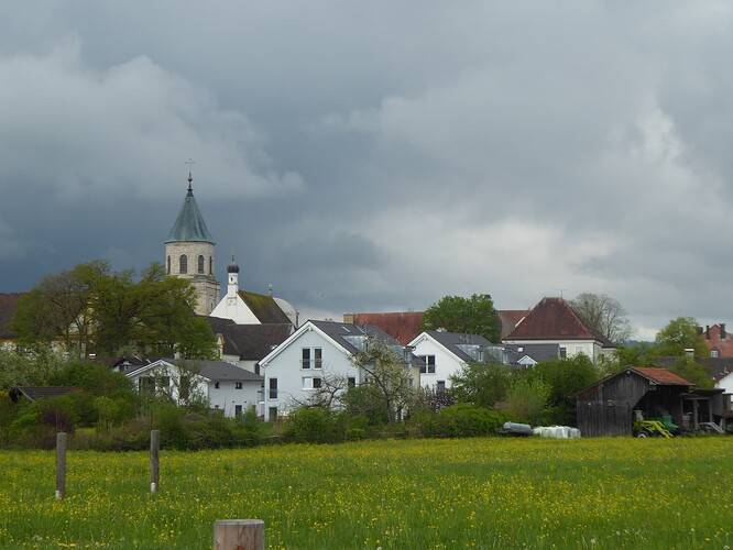P1000428