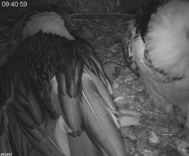 Wch geworden 01.04.24