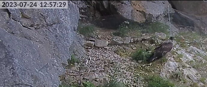 Snap_2023.07.24_12h57m55s_004_