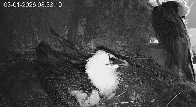 Mascha schaut 03.01.26