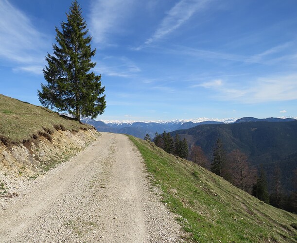 IMG_20230505_081120