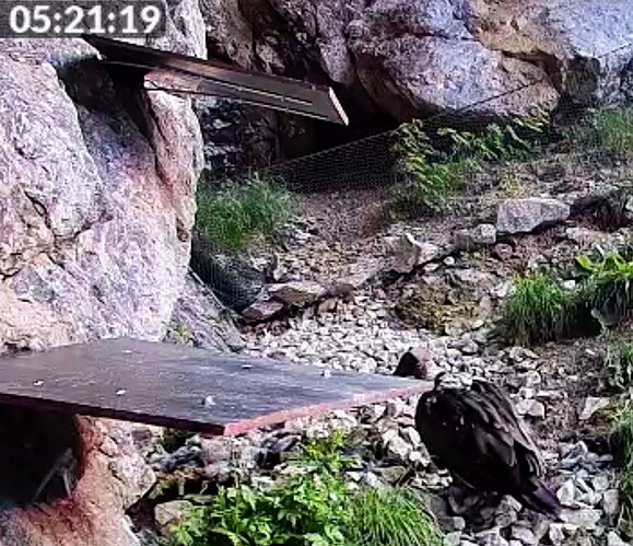 Screenshot_2025-06-13-05-21-21-627_com.android.chrome