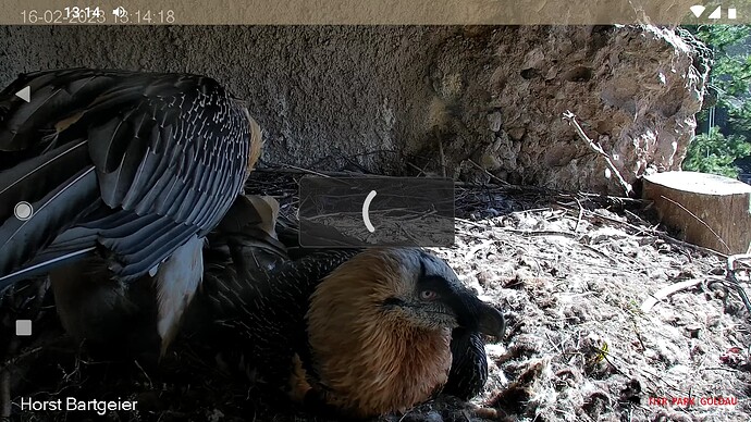 Screenshot_20230216-131455