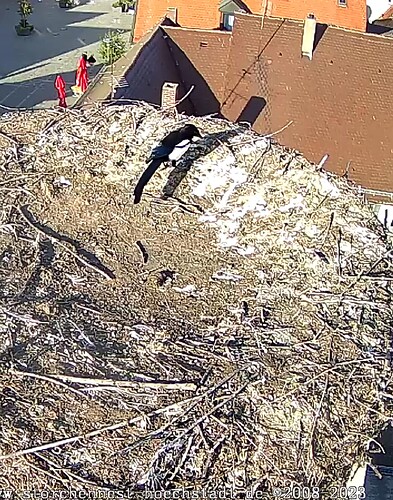 Screenshot_20231015-160223~2