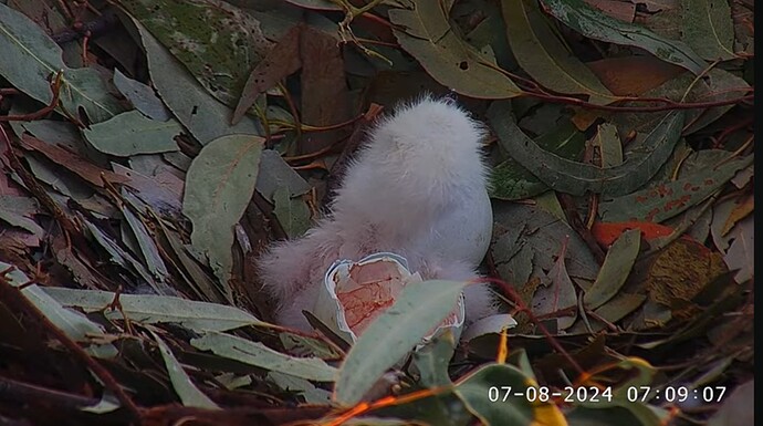 Screenshot_20240806_234003_YouTube