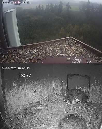 Screenshot_20250924_185715_Chrome