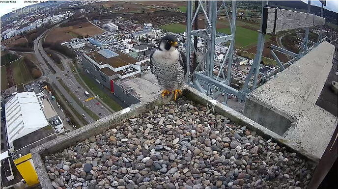 Snap_2024.02.24_14h53m24s_014_