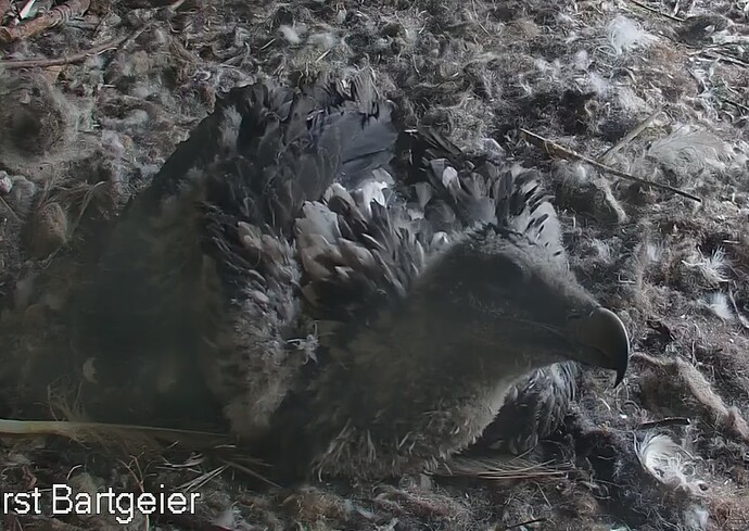 Blick in die Kamera 05.05.24