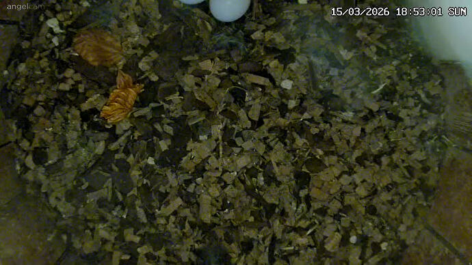 Screenshot (165)