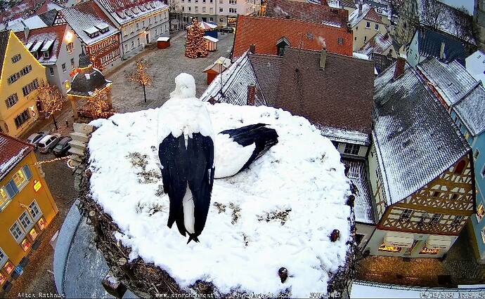 Screenshot_2023-12-04-16-28-49-549_com.android.chrome