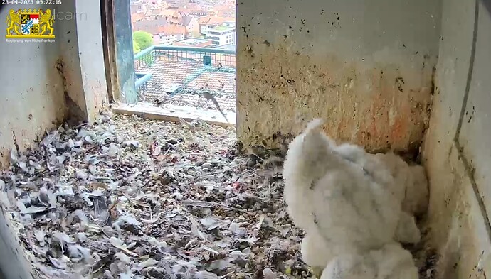 Screenshot_20230423-092239_Samsung Internet