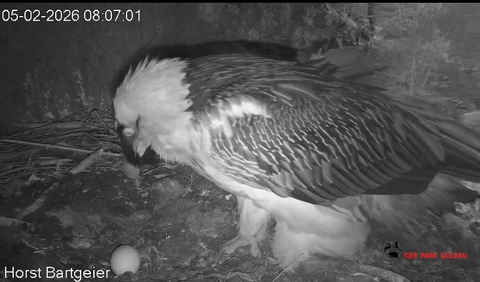 Screenshot_2026-02-05-08-08-01-539_com.android.chrome~2