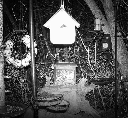 Screenshot_20241130_174137_Chrome