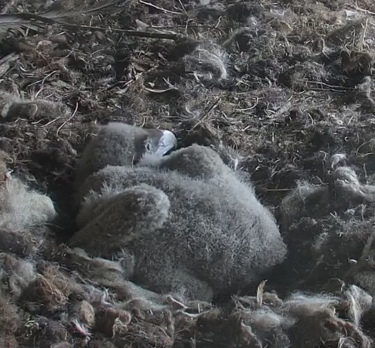 Ganz allein 23.03.24