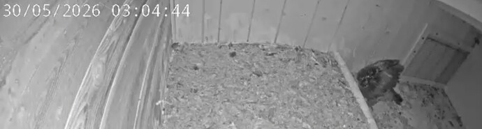 20260530_030743
