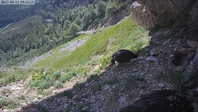 Snap_2023.06.13_09h52m58s_001_