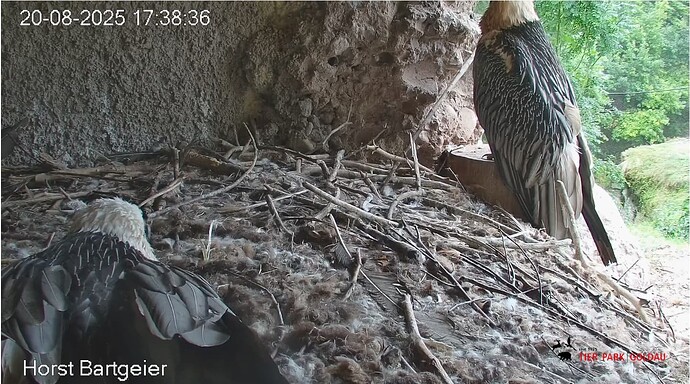 Screenshot_20250820-173940~2