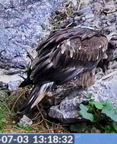 Screenshot_2025-07-03-13-18-50-963_org.mozilla.firefox