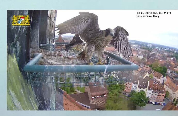 Screenshot_2023-05-13-06-42-06-271~2