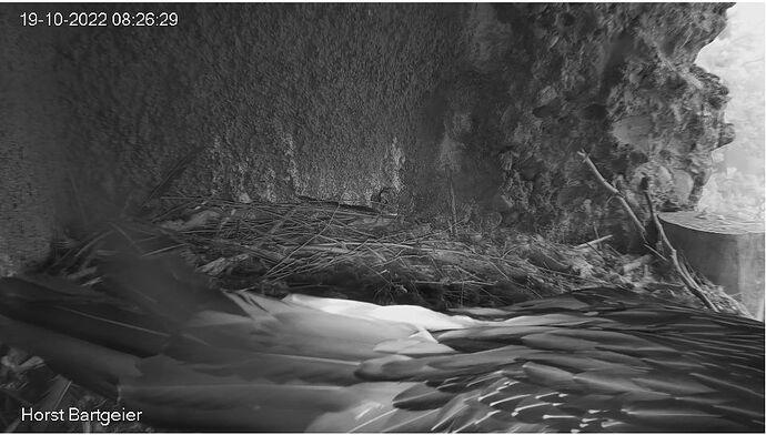 Snap_2022.10.19_08h27m15s_003_