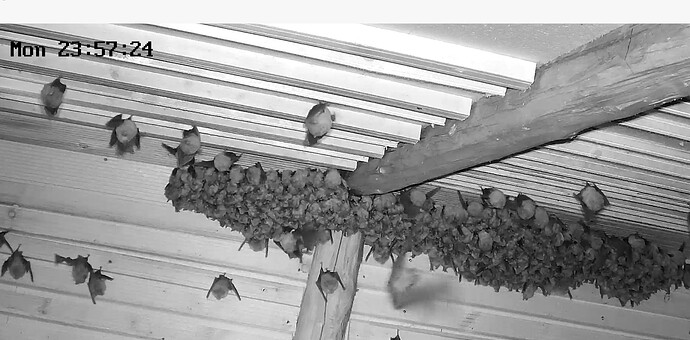 Screenshot_20260323-235737~2