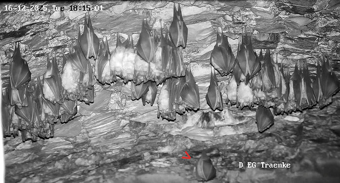 Vollbildaufzeichnung 16.12.2025 181514