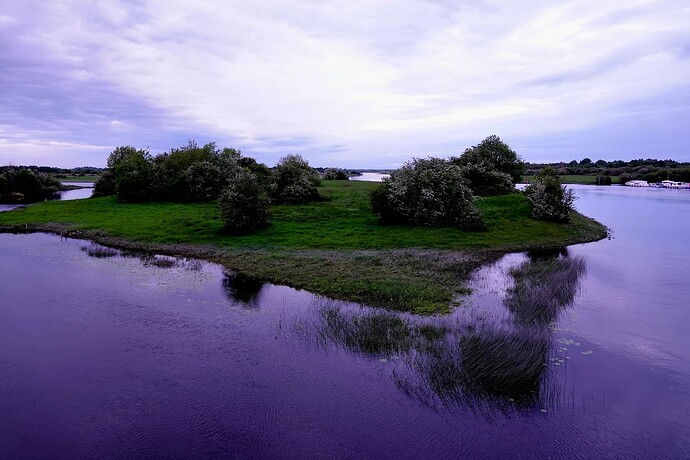 DSC07369