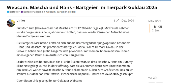 Screenshot 2025-10-13 104432