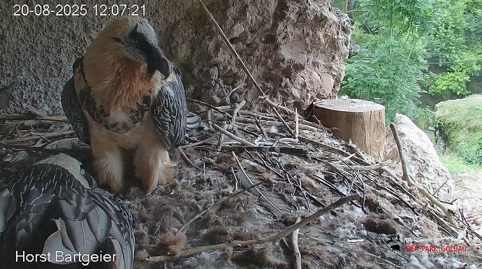 Screenshot_20250820-120835~2