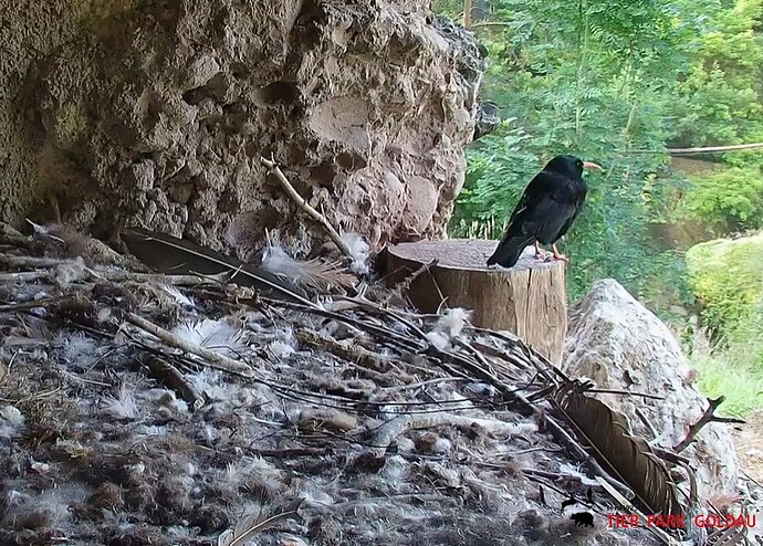 Besuch bei Mascha und Hans 20.06.25