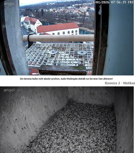 Snap_2026.01.23_07h57m08s_001_