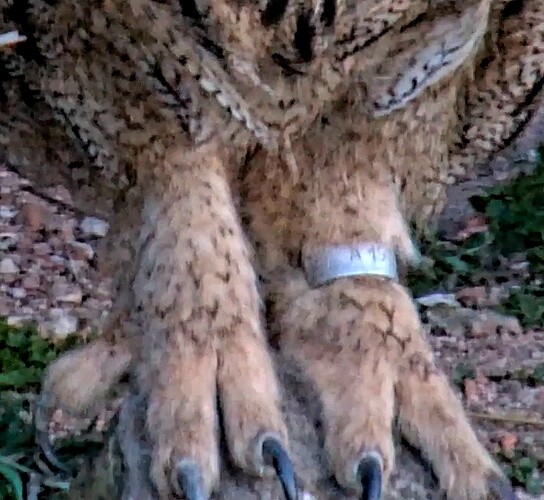 Bildschirmfoto 2025-03-09 um 21.12.33