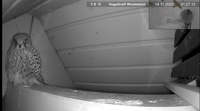 Screenshot_20251114_212732_Samsung Internet