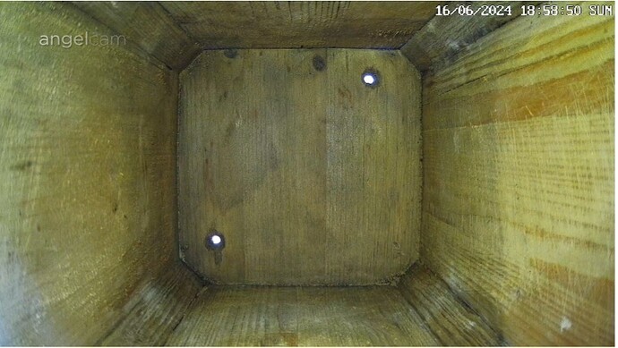 Screenshot_20240616_190316_Chrome