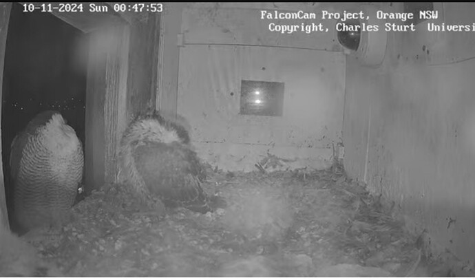 Screenshot_20241109_144810_Chrome