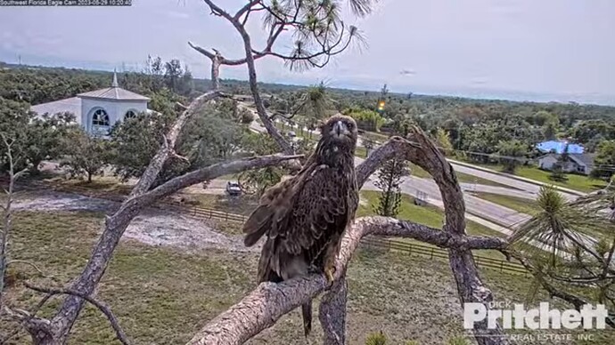swfl_230529_E22