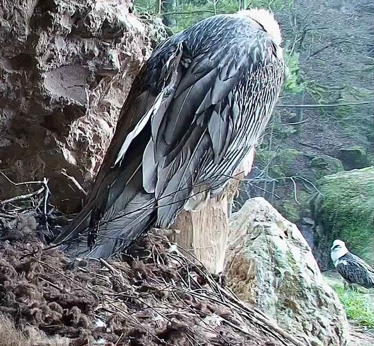 Screenshot_20251210-135930~2