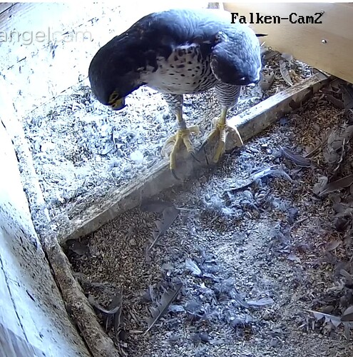 Screenshot_20230712-103050~2