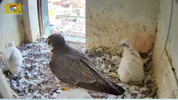 Screenshot_20230421-150908~3