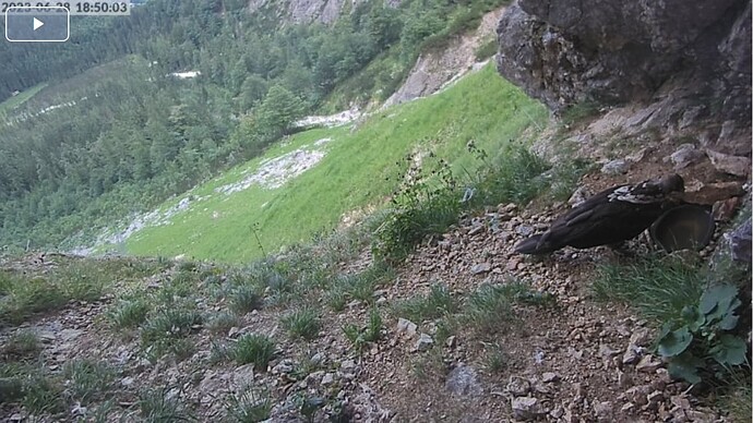 bg230628_n