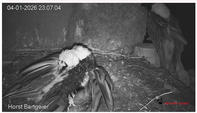 Screenshot_20260104-230808~2