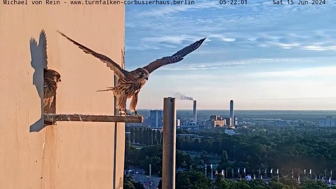 Screenshot_2024-06-15-09-41-53-168_com.android.chrome