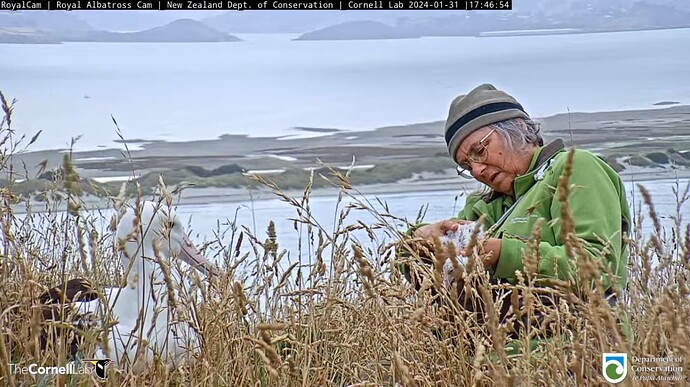 a3a4e6a50b062092f76b27456af7f4f9034d7e68971fc12b72aa676c4954cb31