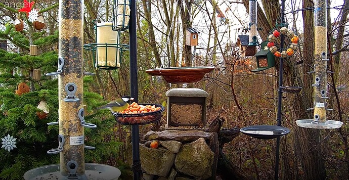 Screenshot_20221224-085238_Samsung Internet