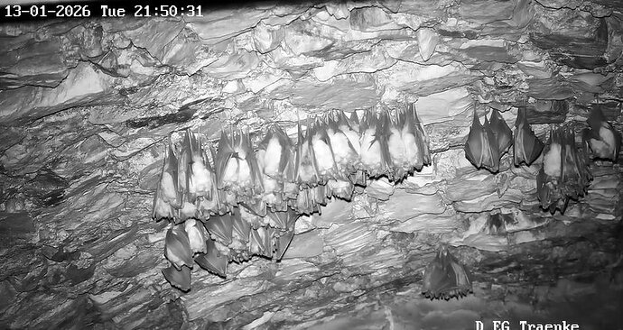 2026-01-13_12 ab 21.00 Cluster