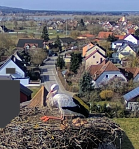 Screenshot_2026-02-28-11-05-50-706_com.android.chrome~2